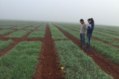 02-tomando-datos-para-proyecto-csic