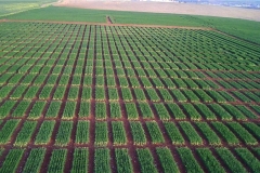 05-vista-aerea-de-ensayos