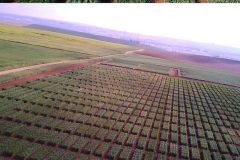 06-ensayos-con-ecija-al-fondo