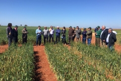 07-visita-del-consejo-a-los-ensayos