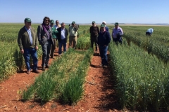 10-susceptibilidad-a-la-sequia-invernal