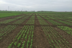 03-ensayos-abstress-y-legato