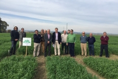 07-visita-del-presidente-del-ifapa