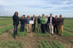 08-visita-al-proyecto-abstress