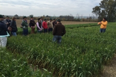 12-visita-alumnos-master-etsia