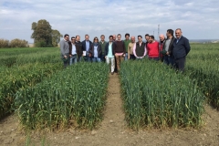 13-profesores-de-mejora-y-alumnos-etsia