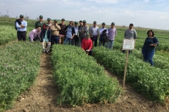 15-visita-al-proyecto-abstress