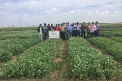 17-visita-al-proyecto-legato