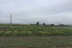 22-proyecto-agrisost