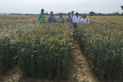 35-visita-responsables-de-agrovete