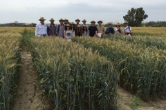 36-visita-alumnos-de-mejora-de-etsiam
