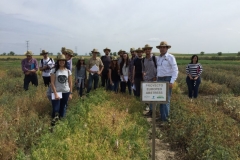 37-alumnos-etsiam-en-abstress