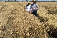 41-ensayos-despues-del-diluvio