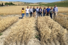 16-visita-de-tecnicos-a-los-ensayos