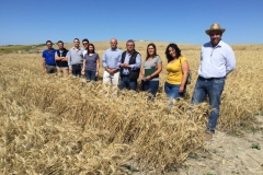 18-tecnicos-de-agrovegetal