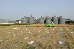 20-cosecha-de-enesayos-en-jerez