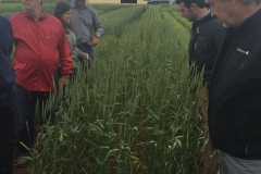 12-conil-en-vitrina-de-caycsa