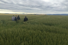 14-produccion-de-conil-en-lerida