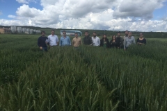 17-ensayo-de-arento-en-sierra-de-luna