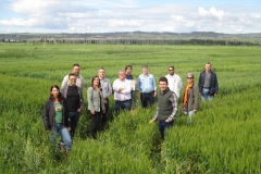 19-tecnicos-en-aragon