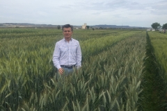 03. Saleroso en Zuera (Zaragoza)