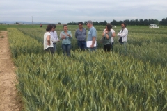 07. Ensayo de Registro en Lleida