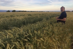 11. Bondadoso en secano