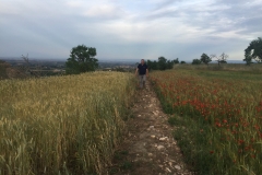 12. Bondadoso (izq) y cebada(dcha)