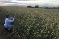 14. Foto a Bondadoso