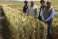 21. Vista Karim a ensayos