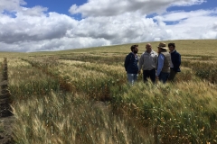 22. Hablando de mejora