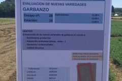 02. Ensayos garbanzo