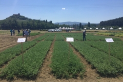 03. Garbanzos KREMA e ITUCI