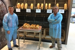 16. Visita a HARIVASA