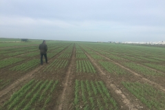 01. Ensayos en enero