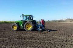 02. Siembra ensayos guisante