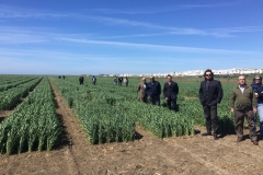 07. Visita a los ensayos