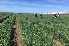 08. Recorriendo ensayos