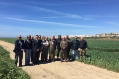 09. Consejo en Conil