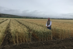 12. Visita Karim Ammar