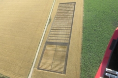 21. Ensayos desde el cielo