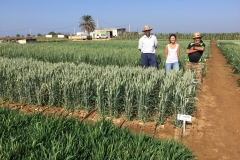 32. Visita en verano