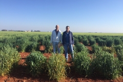 12. Diferenciales roya