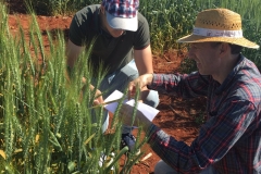 18. Toma de muestras II