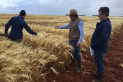 26. Seleccionando con Karim