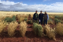 28. Diferenciales madurando