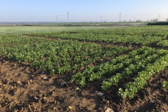 05. Habines en marzo