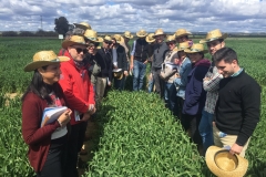10. Alumnos de la ETSIA de Sevilla