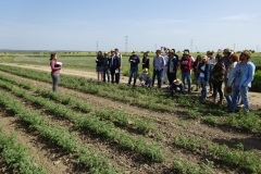 20. Visita programa garbanzos