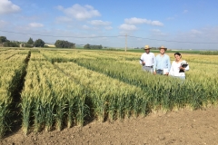 34. Ensayos en abril